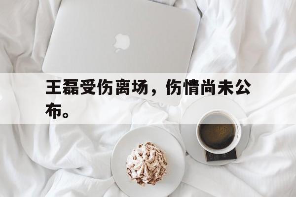 官方网站-王磊受伤离场，伤情尚未公布。