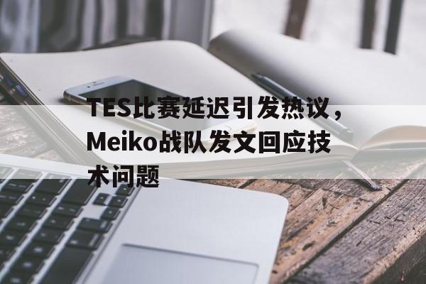 官方网站-TES比赛延迟引发热议，Meiko战队发文回应技术问题