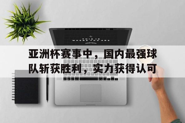 网页版入口-亚洲杯赛事中，国内最强球队斩获胜利，实力获得认可
